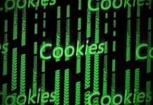 ¿Qué sucederá en un futuro sin cookies? Claves para adaptarse al nuevo entorno forzado por Google